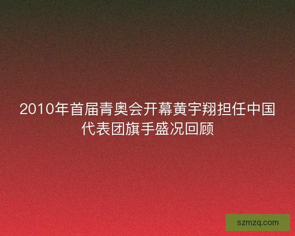 2010年首届青奥会开幕黄宇翔担任中国代表团旗手盛况回顾
