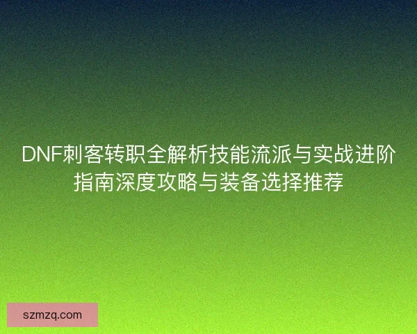 DNF刺客转职全解析技能流派与实战进阶指南深度攻略与装备选择推荐